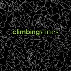 Climbing Vines Ep 03 A Special Conversation with Luam