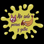 No Solo Perros y Gatos P10 | En Primicia: Entrevistamos al Perro de Scottex (04/04/2020)