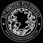 Eatweeds: A Forager's Journey Through The Plant Ki
