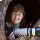 Conversation with Caroline Van Hemert, Part 3: Bird Stories