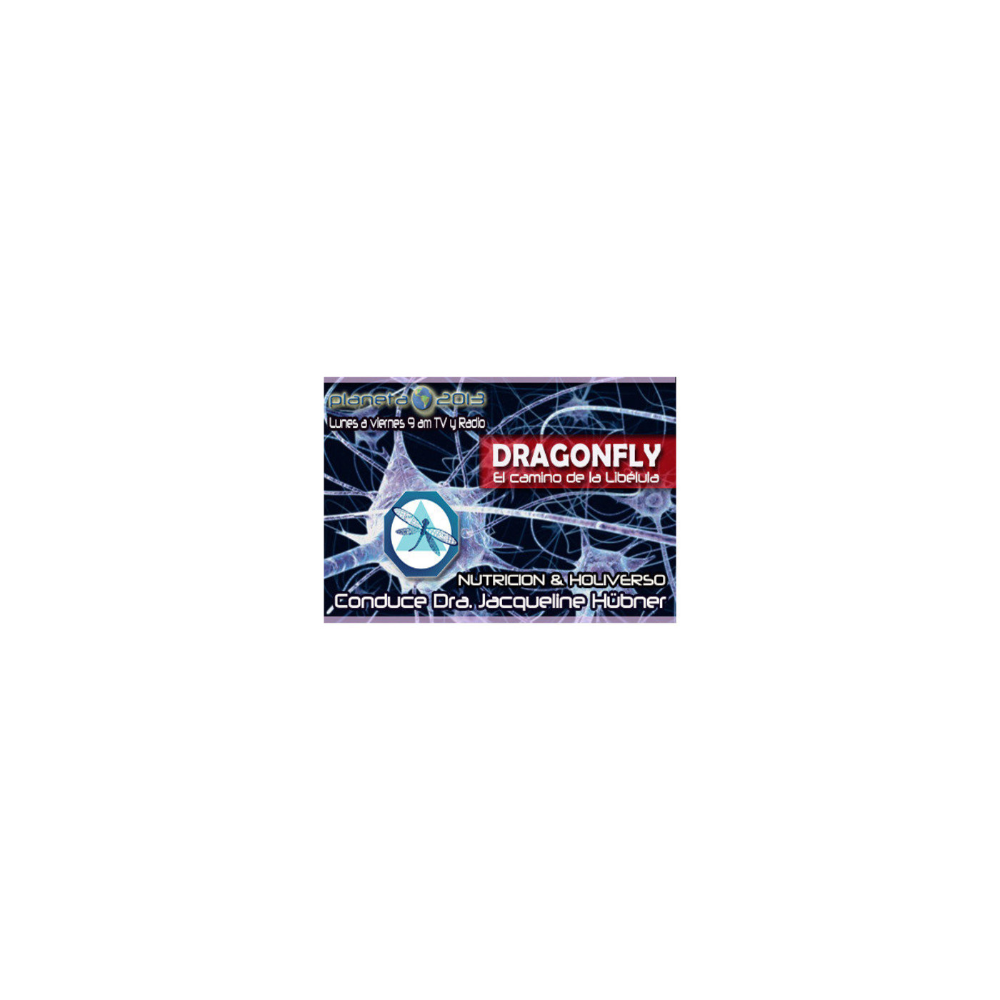 Dragonfly-Libelula