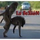 SeXióN