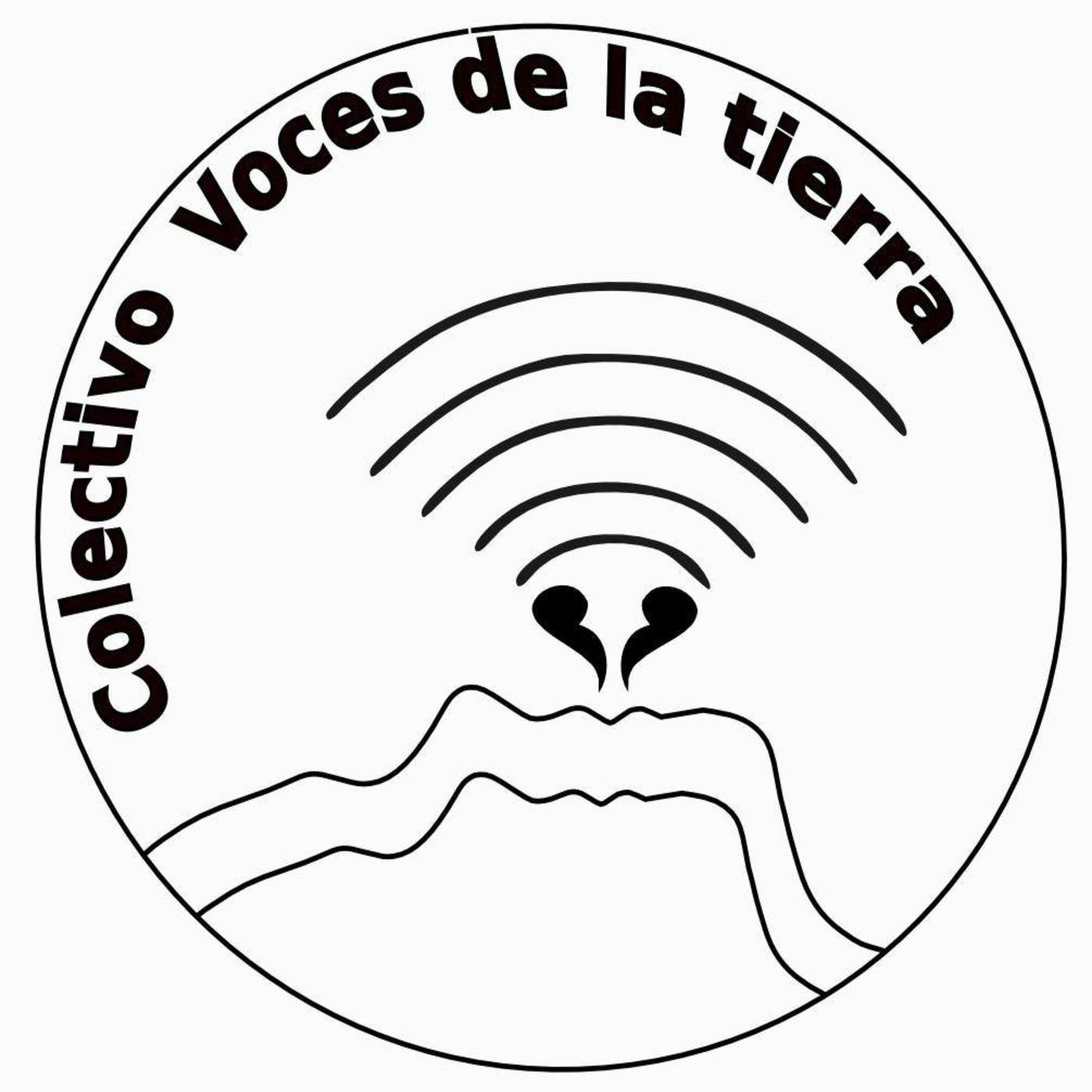 Podcast la telarana radiofónica