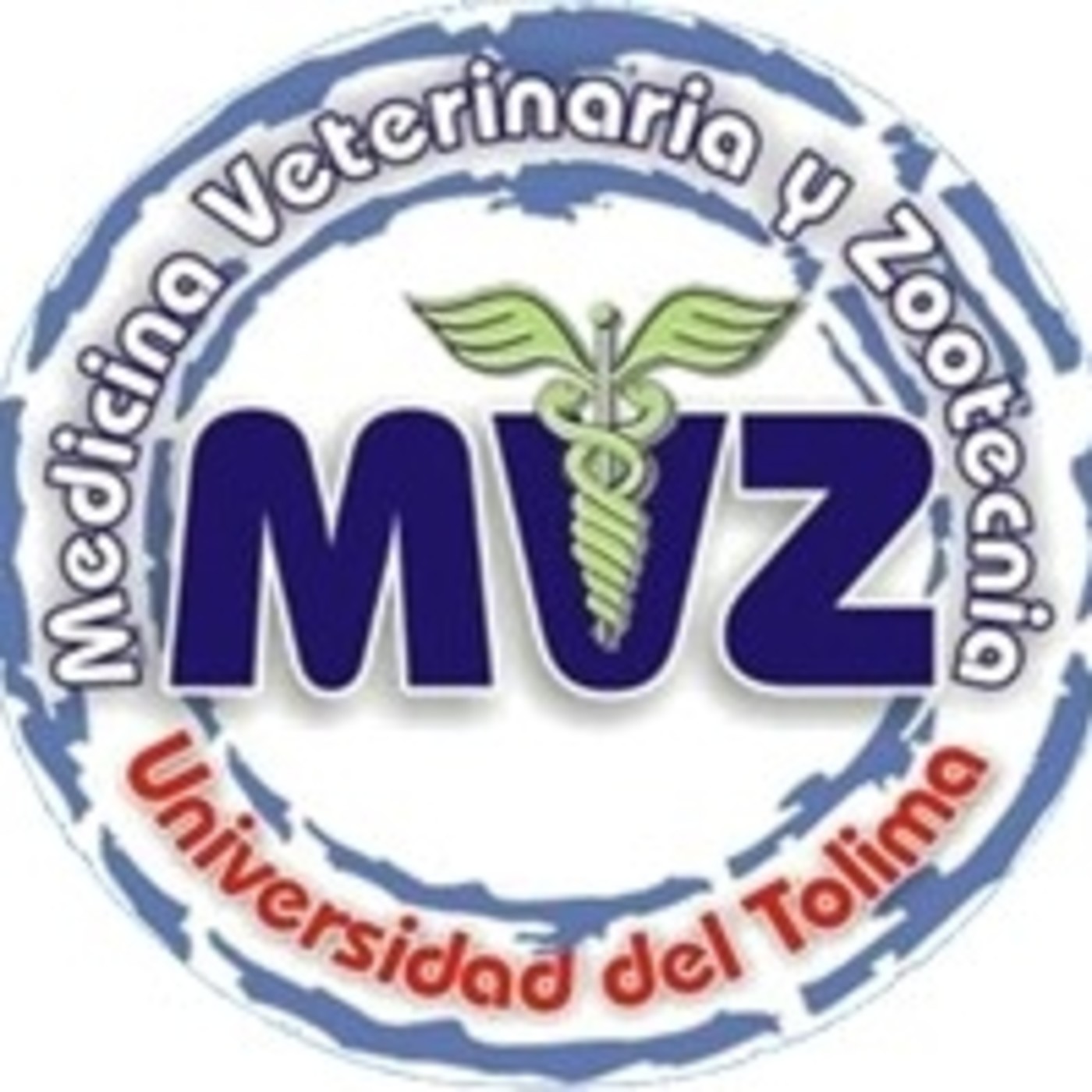 Las Clases del Profe Chamorro