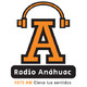 embed image