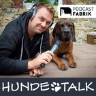(Un)entspannte Hundebegegnungen - Tipps für Hundehalter