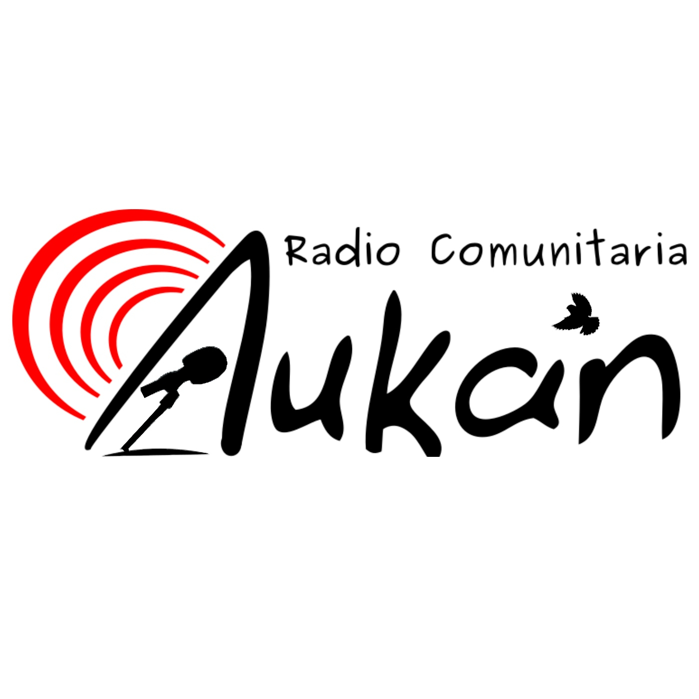 Entrevistas y especiales Radio Aukan