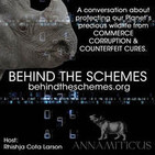 Behind the Schemes