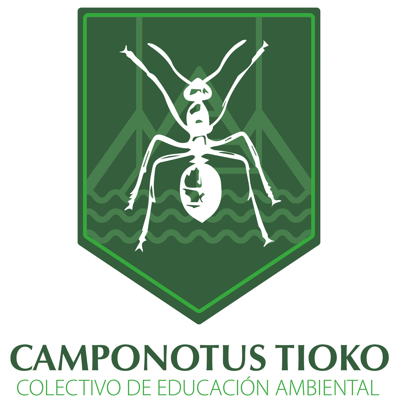 Radio camponotus