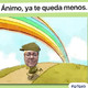 Texto plantas carnívoras