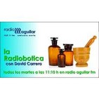 La Radiobotica, 24-12-2013: Las dudas de nuestros oyentes