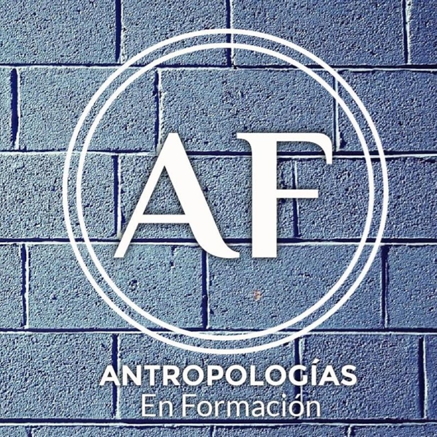 El Quehacer antropológico