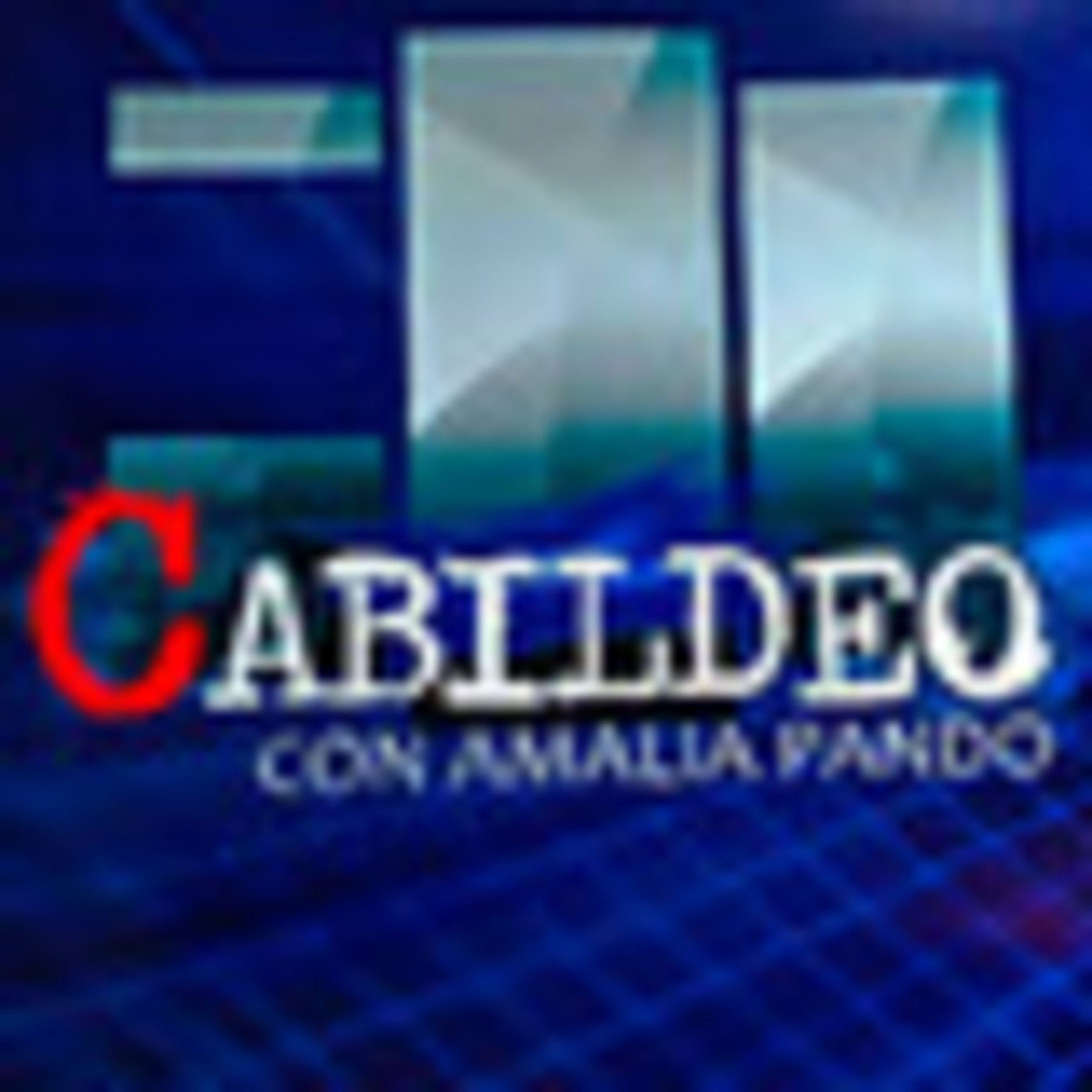 AmaliaPando Cabildeo 3
