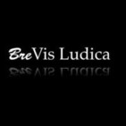 BreVis Ludica