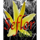 Seflor - Conferencias y Meditaciones