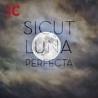 Sicut luna perfecta - Domingo segundo de Adviento - 08/12/19
