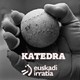 Katedra