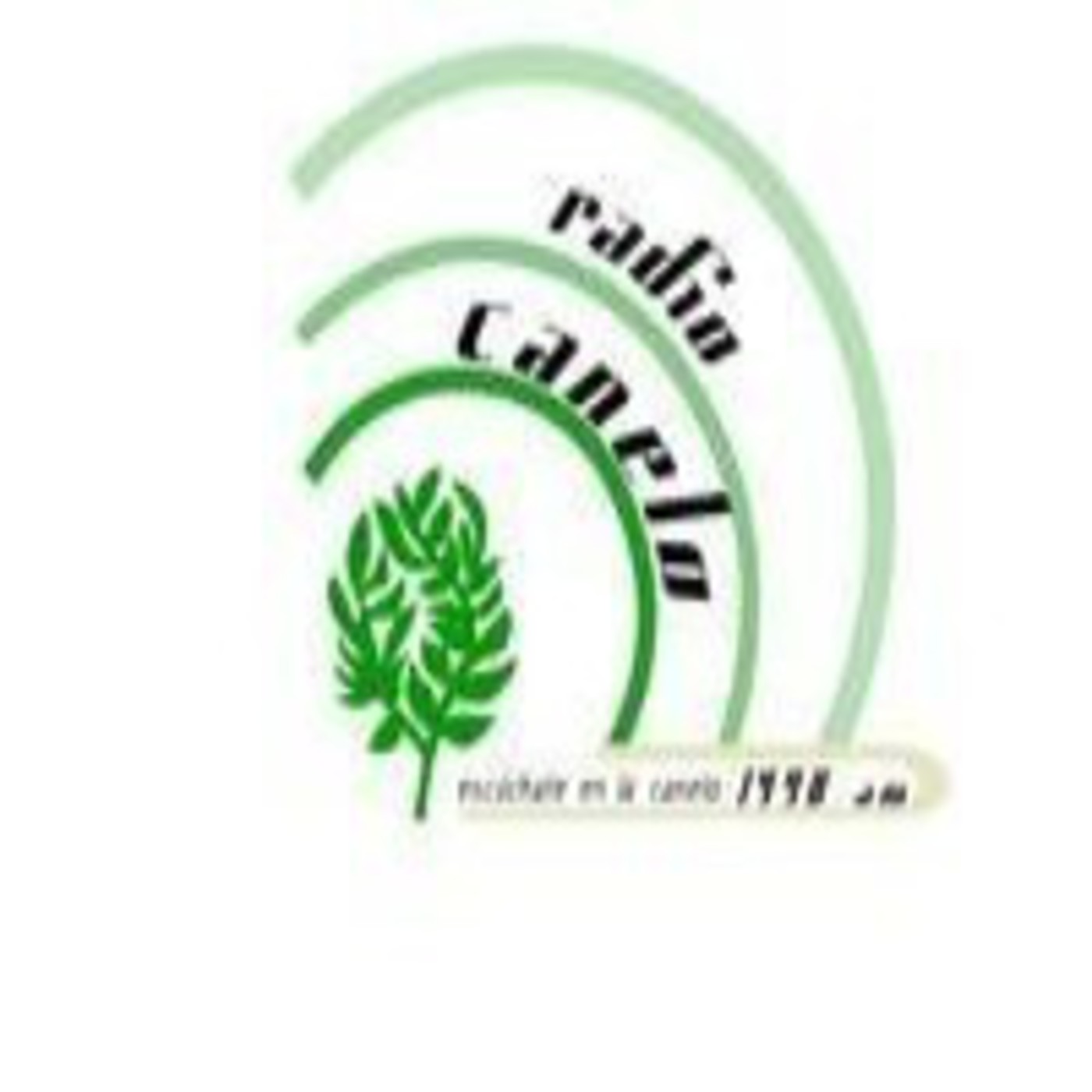 Podcast ¡PINTA!...tú, la llevas