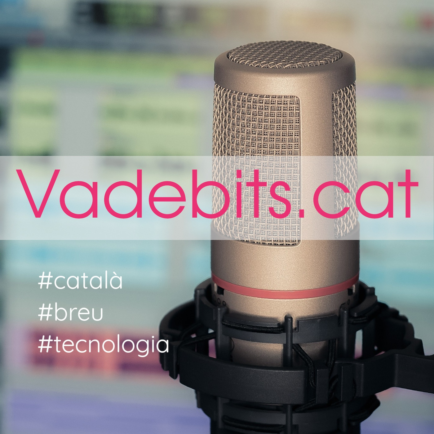Vadebits.cat
