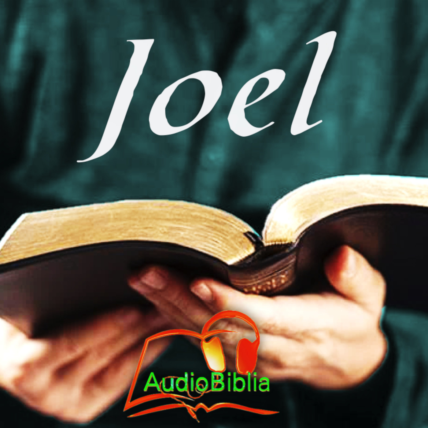 Joel biblia store