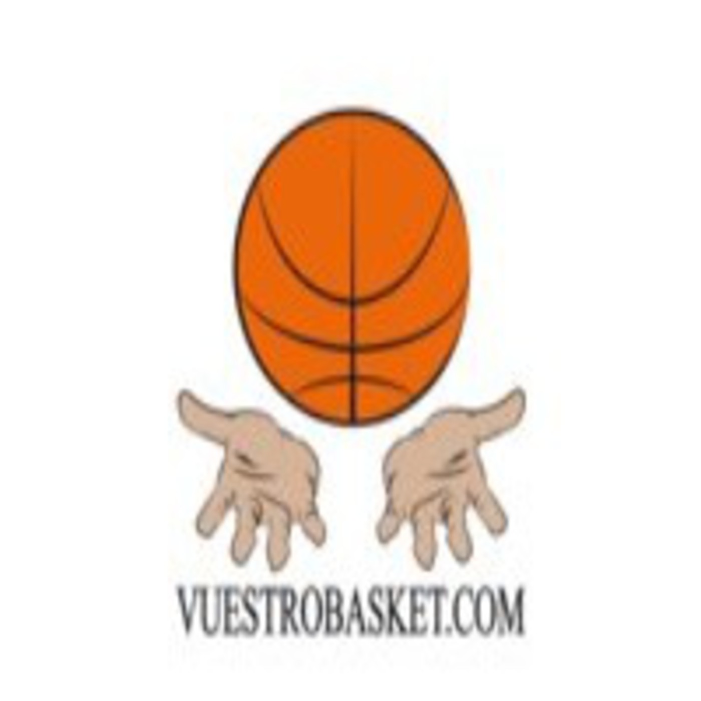 Copa ACB Vitoria-Gasteiz 2013