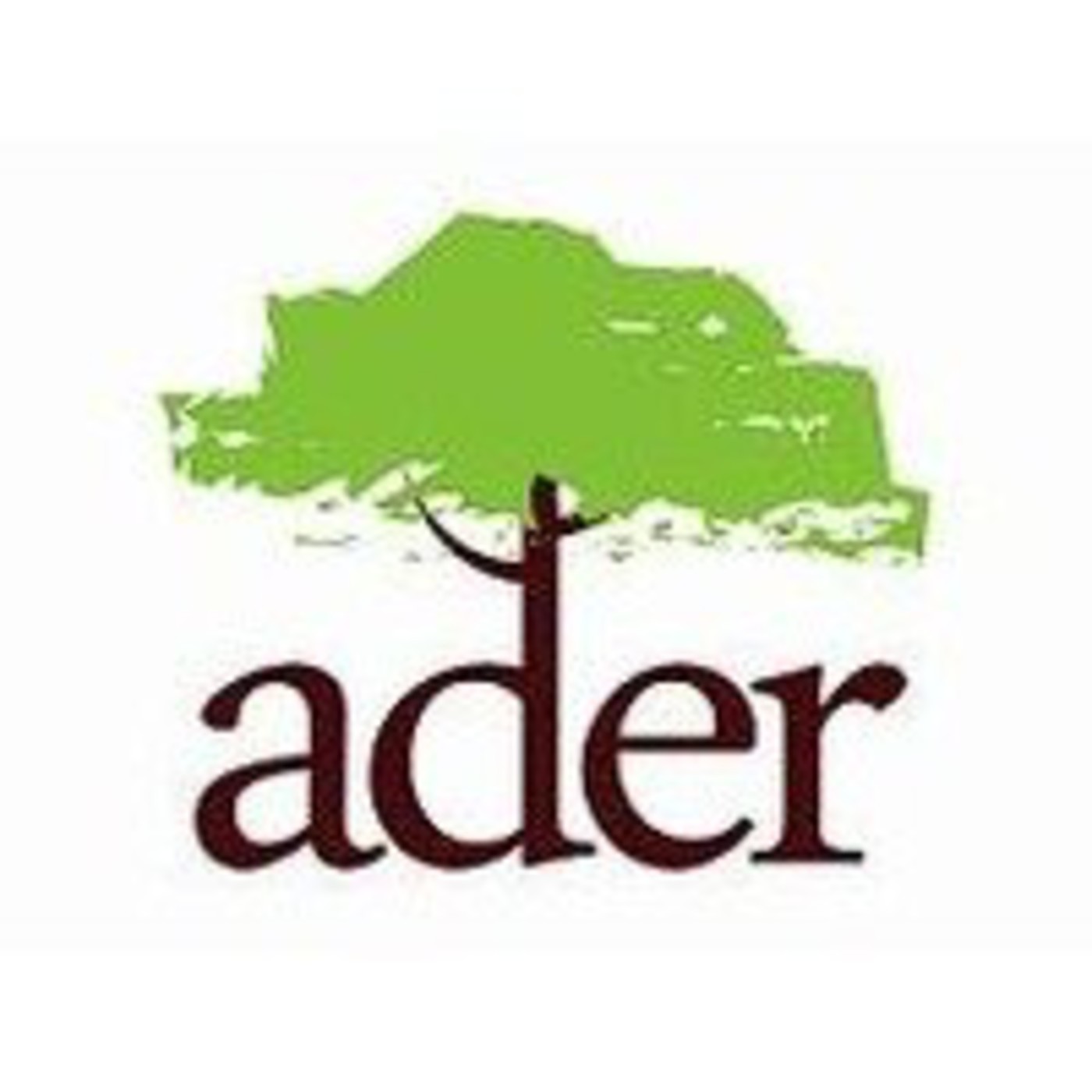 Podcast ADeR Villa Minetti- Comunicación