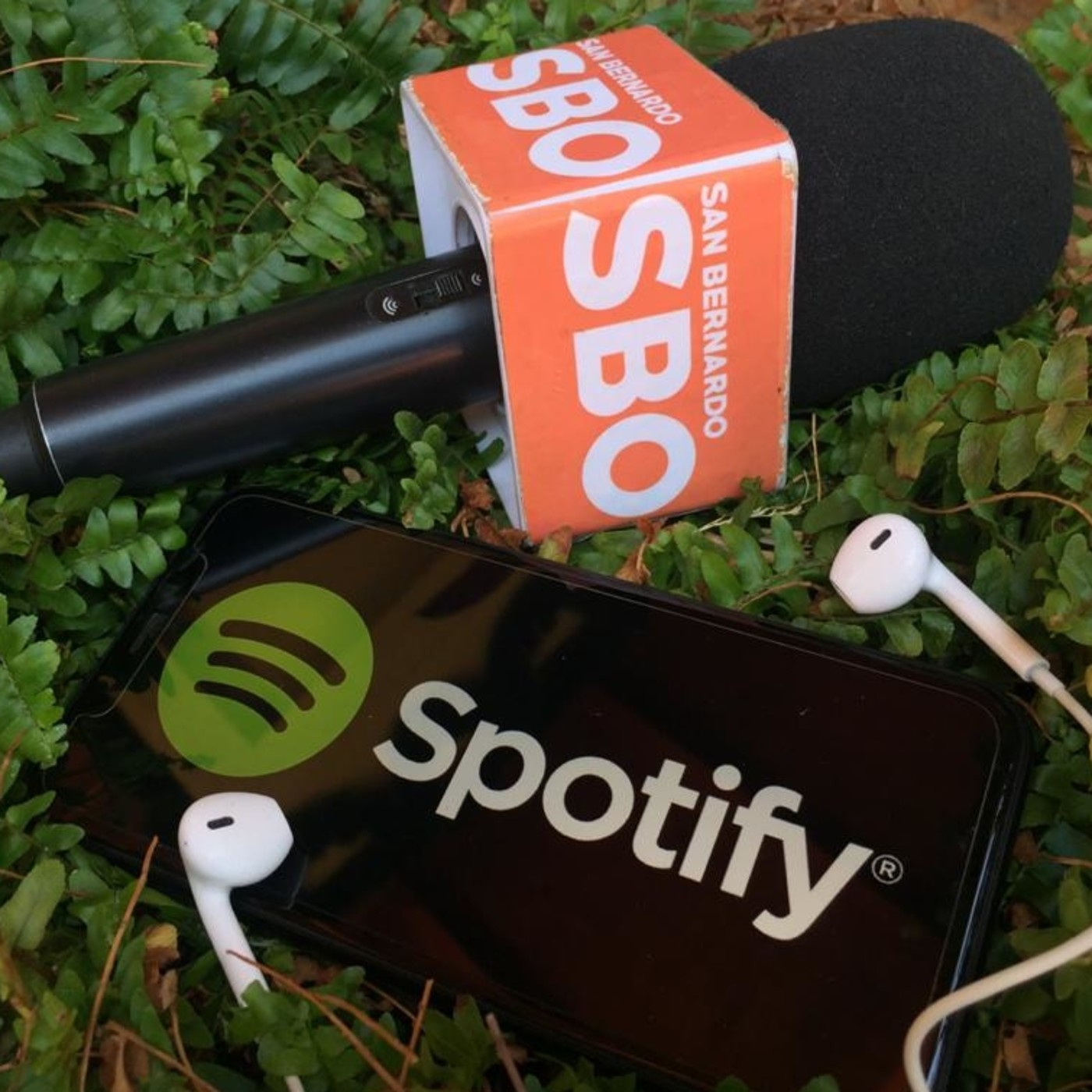 CANAL SBO - POLÍTICOS A LA PIZARRA