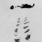 El Paseo