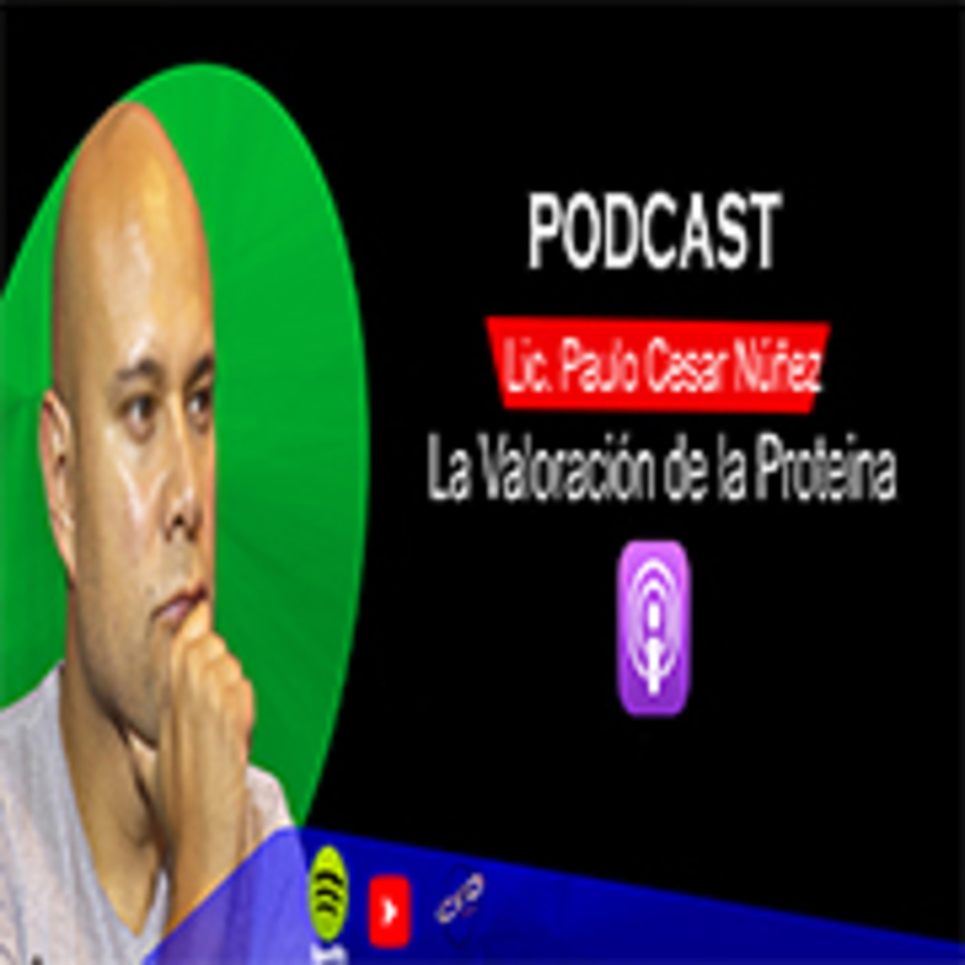 El valor de la Proteína 