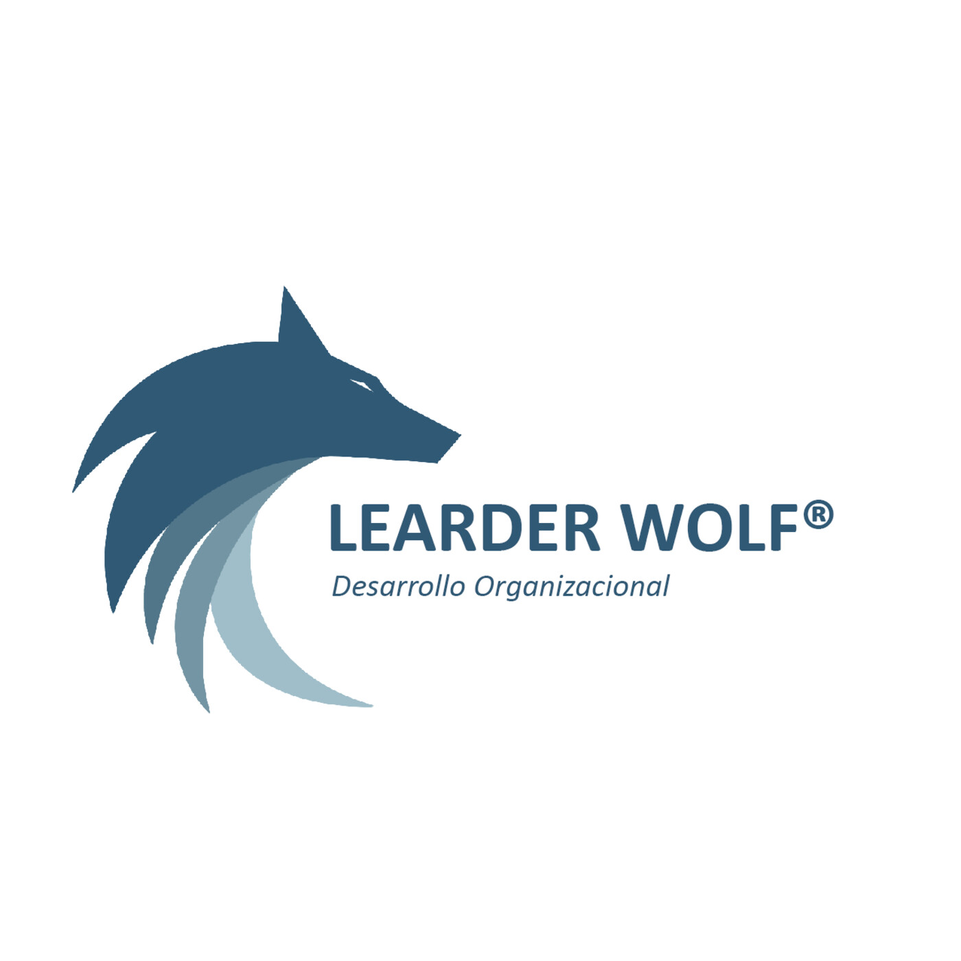Leader Wolf - Desarrollo Organizacional