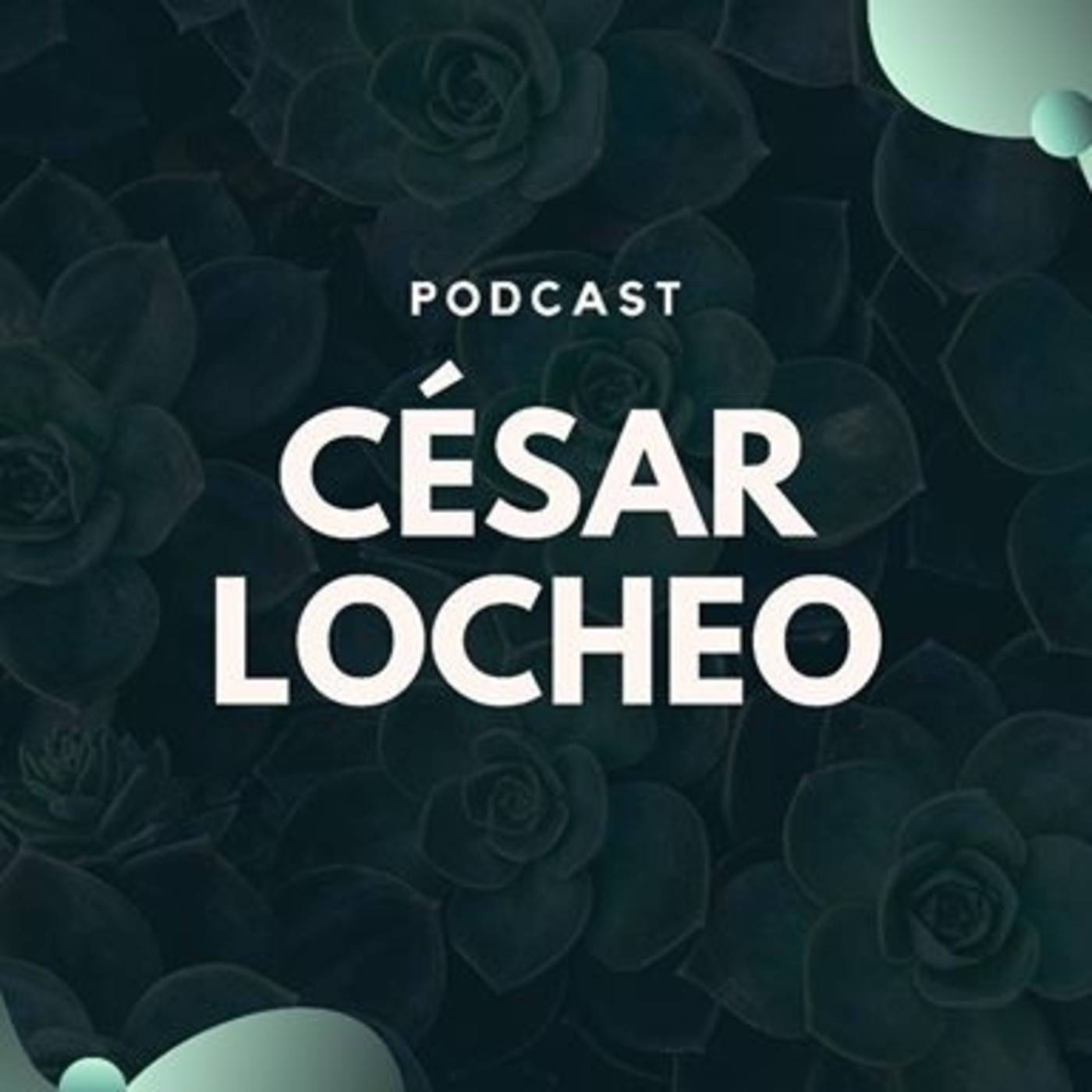 Construye tu Red de mercadeo