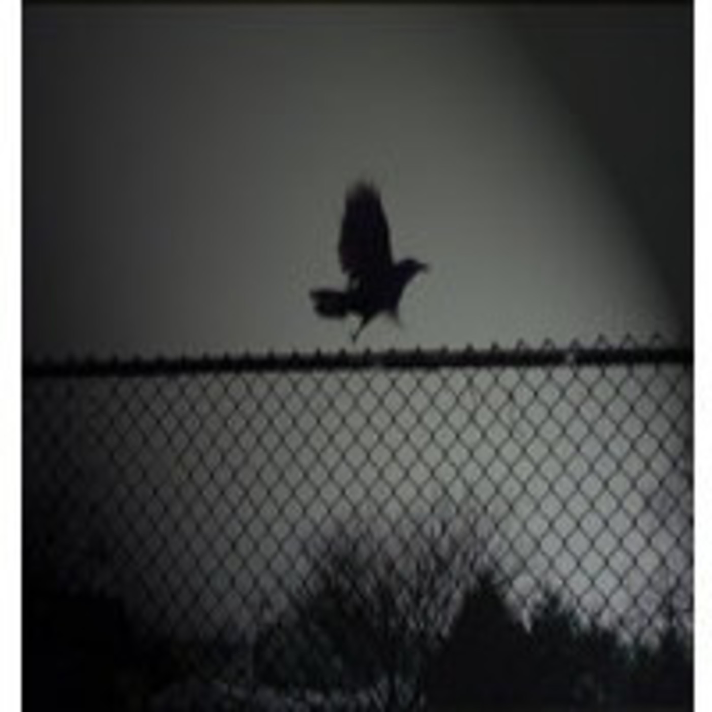 Podcast RELATOS DE TERROR