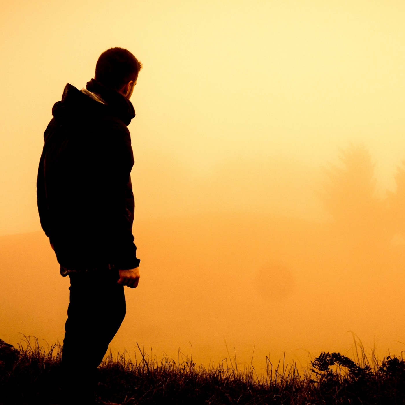 Radio Tesla-Reflexiones