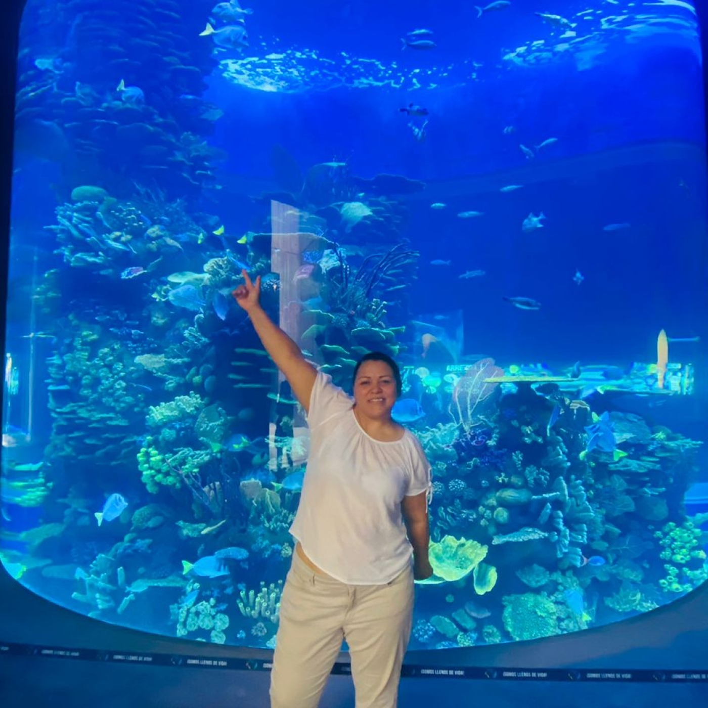 filosofía de la educación cover art