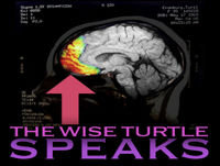 TWTS – Small is the New Big
