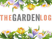 #52 Magnolia grandiflora, mud soup and flowers from beyond