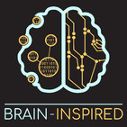 BI 027 Ioana Marinescu & Konrad Kording: Causality in Quasi-Experiments