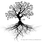 Dan Palmer talking about permaculture and life and creation and related stuff (e16)