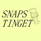 48. Snapstinget - Sjov med finanslov