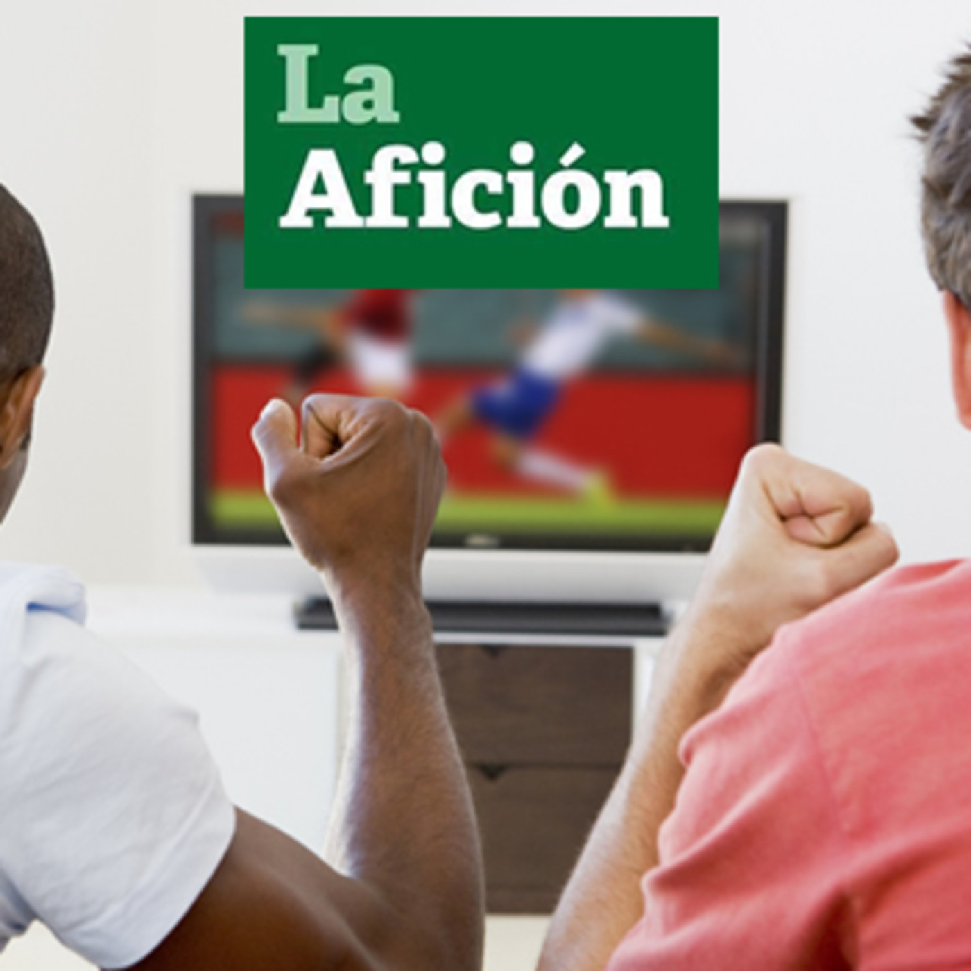 La Afición
