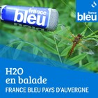 Découverte du milieui naturel du lac d'Aydat en Kayak - épisode 4 : Le déversoir.