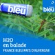 Des arbres habités Episode N°1