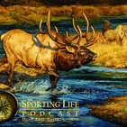 Hunting Heritage - Hunting Roe Deer In Scotland