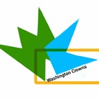 Washington Crowns