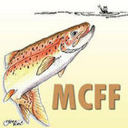 July 2010 Bighorn River Fishing Report