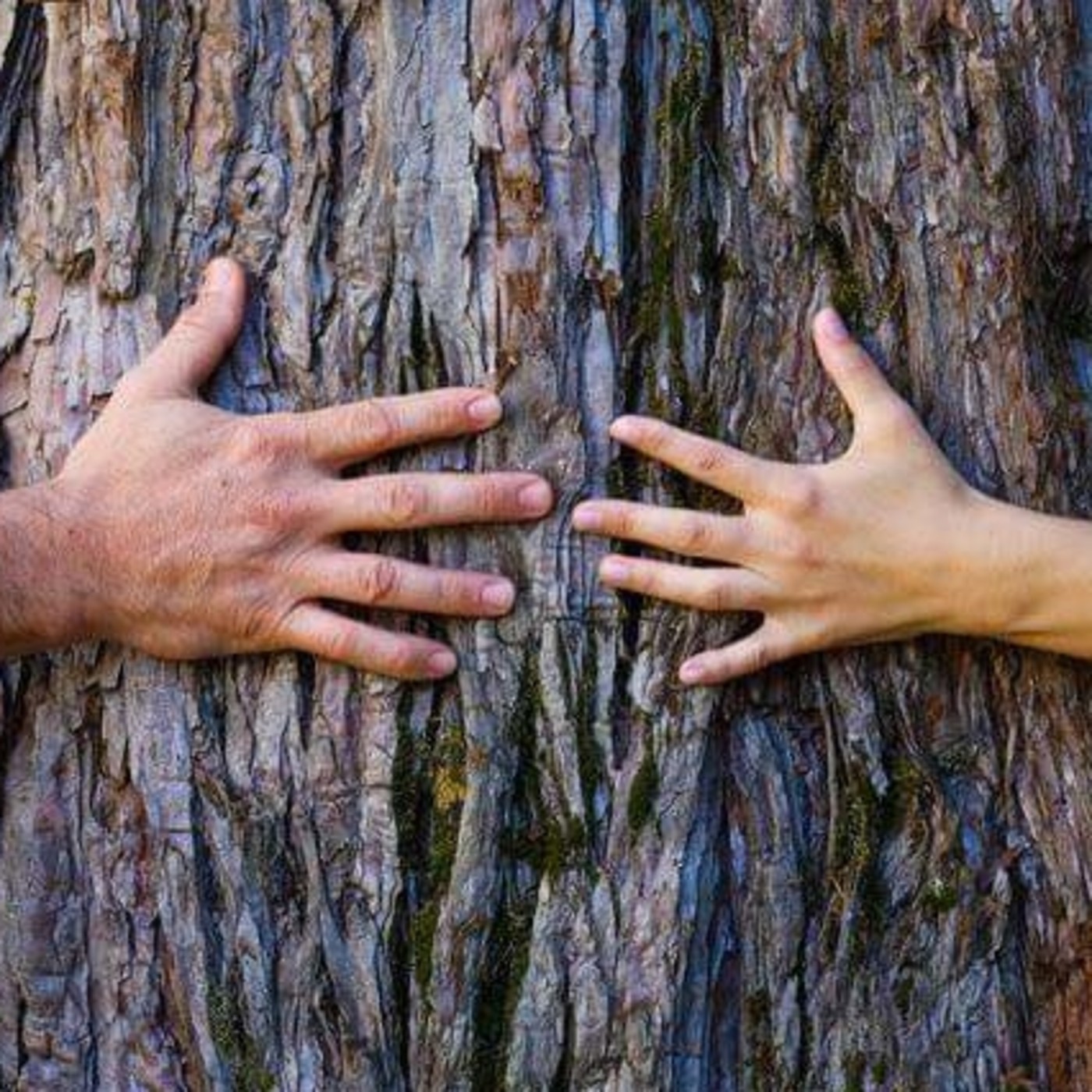 La oración como encuentro