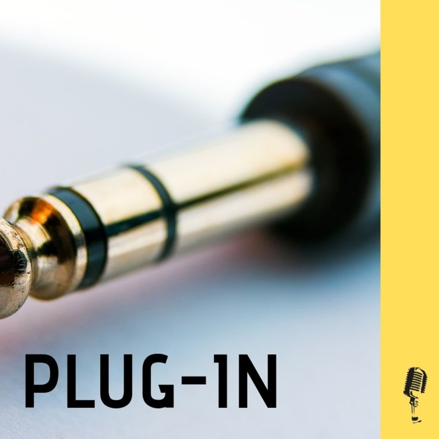 Plug-In