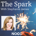 The Spark 077: The Financial Freedom Act with Scott Smith