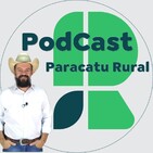AnÁlise de mercado agrÍcola 12 - 07 - 19