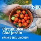 quelles sont les différentes variétés de pommes du terroir ?